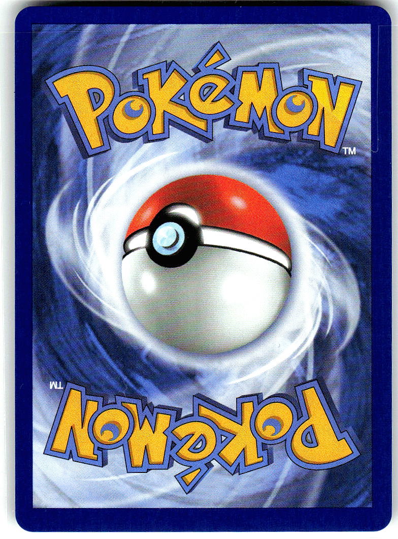 Squirtle 039 Holo Promo Mega Evolution Promo Pokemon Near Mint