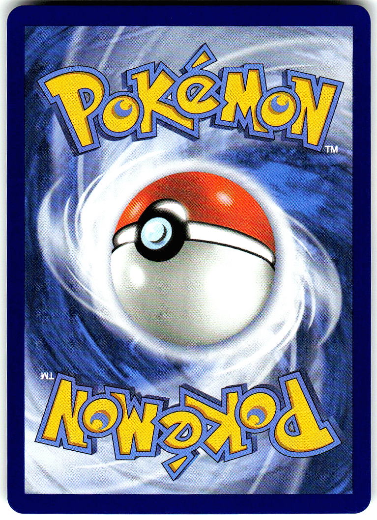 Black Belt's Training 255/217 Double Rare Ascended Heroes Pokemon Holo Near Mint
